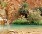 Oasis-de-Tunisie.jpg
