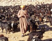nomade-Ait-Atta-du-sagho.jpg