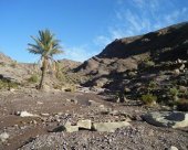 oasis-dans-le-saghro.jpg
